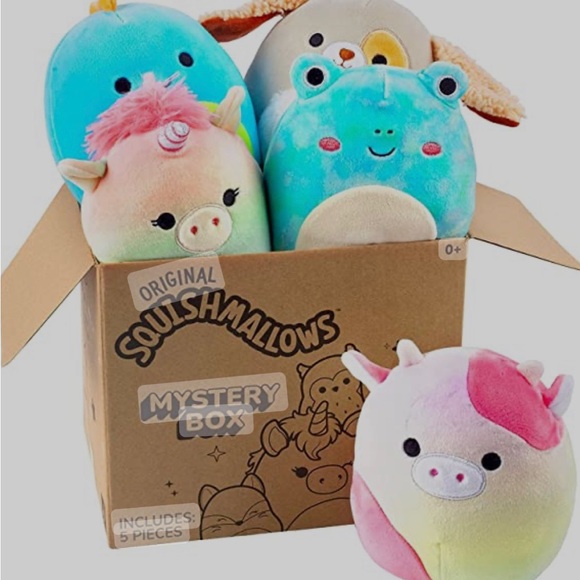 Mystery Squishmallow Boxes - Picture 1 of 1